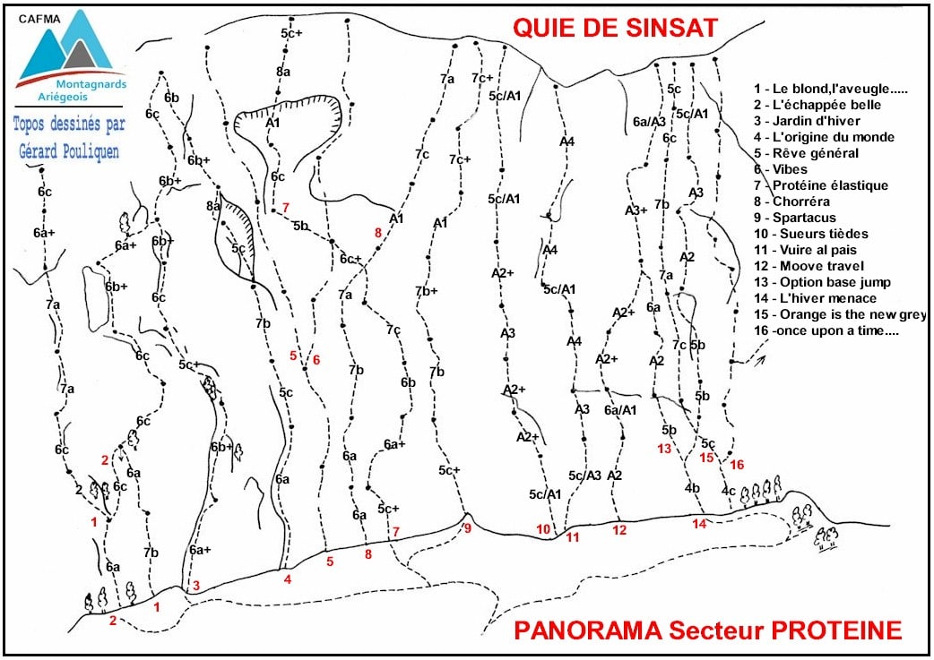 Secteur Protéine Panorama